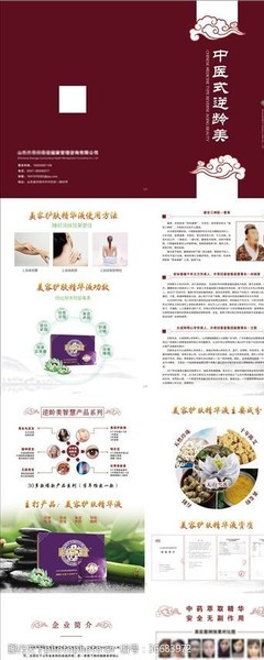 日用之美，生活之趣——探索日用品畫冊的圖片素材世界